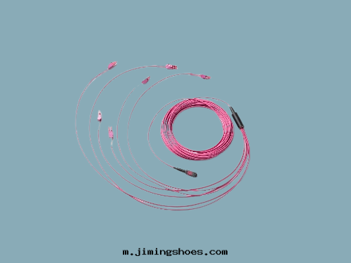 多(duō)通(tòng)道(dào)光(guāng)纖束(shù)線(xiàn)缆(lǎn)