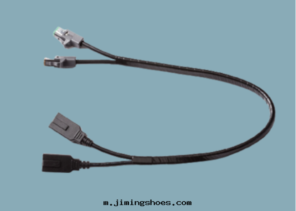 音(yīn)響專用轉(zhuǎn)接線(xiàn)